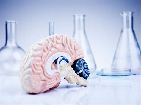 Brain Disorders: Causes, Symptoms, and Diagnosis