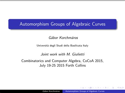 Automorphism Groups of Algebraic Curves