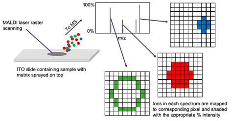 Materials Mass Spectrometry Imaging