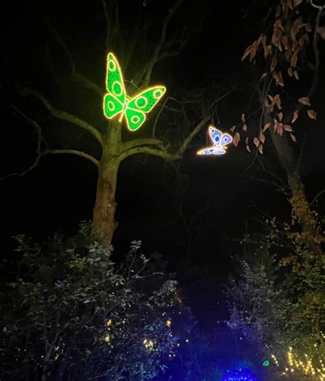 Atlanta Botanical Gardens Lights, Holiday Nights - My Home and Travels