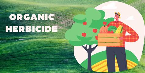 Organic Herbicides: What They Are, What They Contain, and How to Use ...