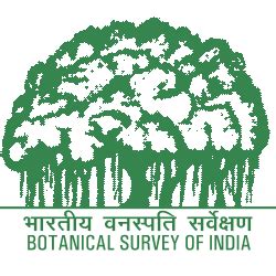 Botanical Survey of India