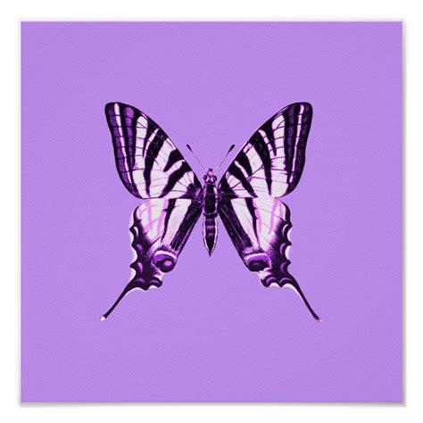 Purple Butterfly Poster | Zazzle | Butterfly poster, Purple aesthetic ...