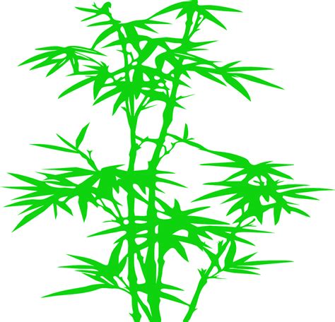 Download Bamboo, Plant, Nature. Royalty-Free Vector Graphic - Pixabay