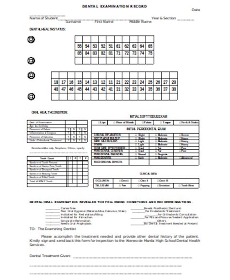 FREE 9+ Sample Dental Examination Forms in PDF | Word