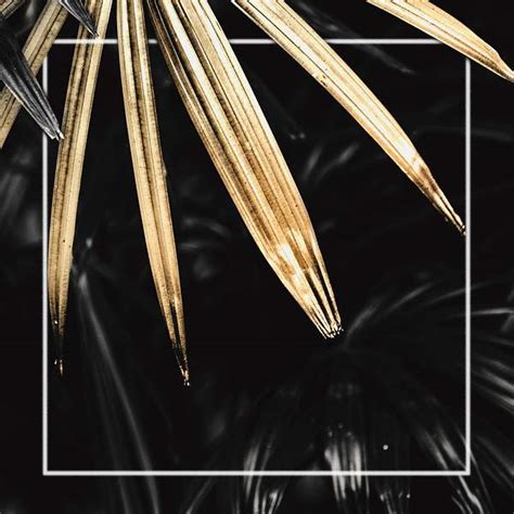 Black Gold Picture Frame Images | Free Photos, PNG Stickers, Wallpapers & Backgrounds - rawpixel