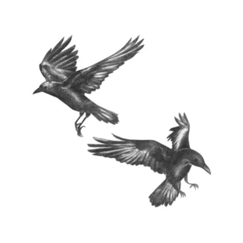 Huginn & Muninn Raven Temporary Tattoo / Huggin and Muninn Temporary ...