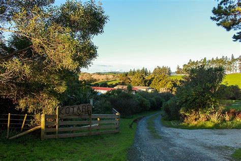 What we do – School for social justice in Aotearoa | Kōtare: Social Change in NZ