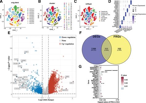 Identification of cancer-associated fibroblasts signature fo... : Medicine