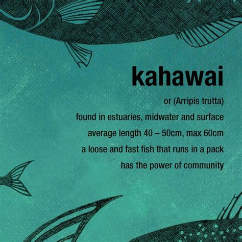 Kahawai limited edition print – New Zealand native fish series | Felt