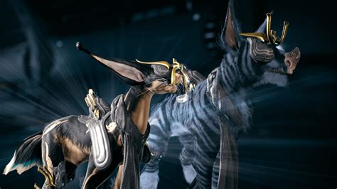 pet with scarves, this is another level : r/Warframe