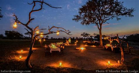 Top 5 Best Safari Lodges and Camps in South Africa | SafariBookings