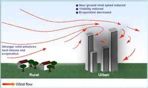 Discuss on the Effects of Wind - Assignment Point