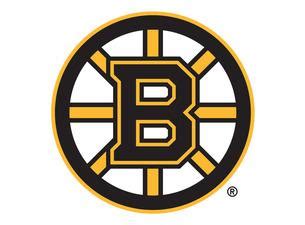 Boston Bruins Tickets | Single Game Tickets & Schedule | Ticketmaster.com