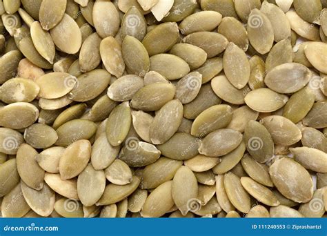 Organic Pumpkin Seed Cucurbita Pepo in Full Frame Plane Spreaded Shape. Stock Image - Image of ...