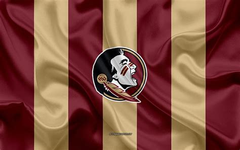 Top 70+ florida state football wallpaper - in.cdgdbentre