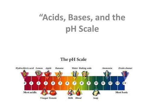 PPT - “Acids, Bases, and the pH Scale PowerPoint Presentation, free ...