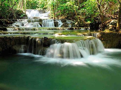 Khuean Srinagarindra National Park | Easy Day Thailand Tours