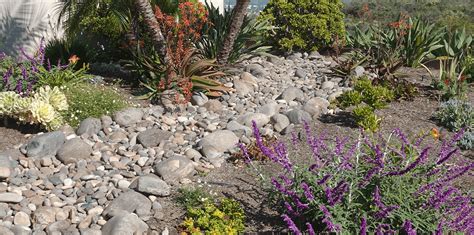 The Guiding Principles of Xeriscaping in Your South Florida Garden ...