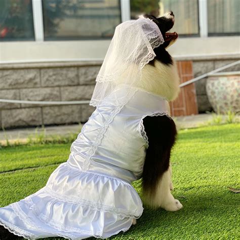 Dog Wedding Dress