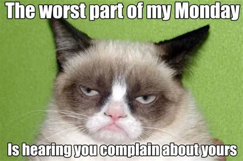 Top 25 Funny Grumpy Cat Memes - CatTime