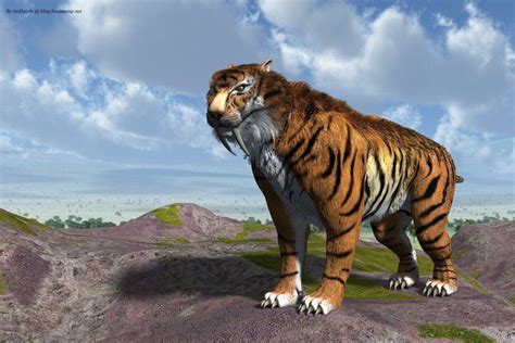 Saber Tooth Tiger Wallpapers - Wallpaper Cave