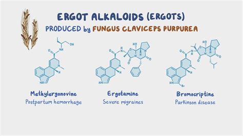 Ergot Derivatives