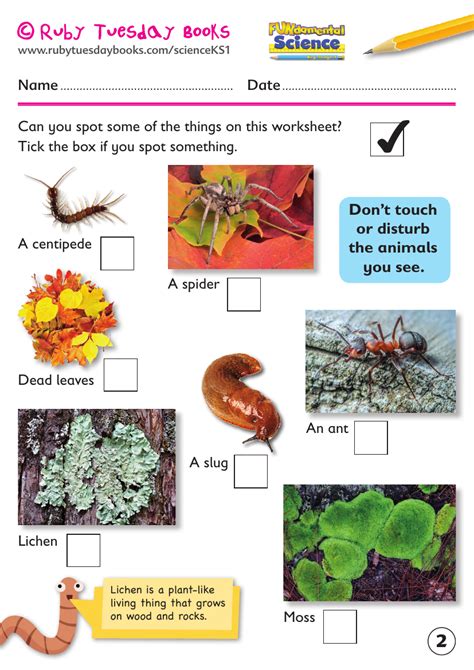 Let’s investigate a micro-habitat | Teaching Resources | Habitat ...