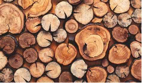 Is Wood Sustainable? - Norman Lumber Company