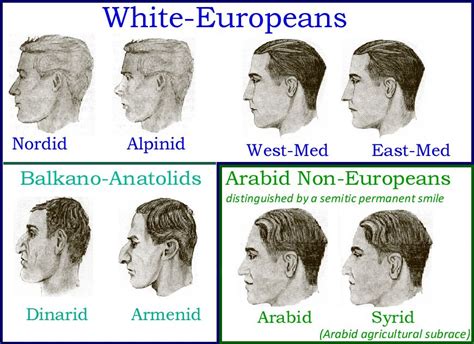 Pin by 040404 5579 on doll Face 東洋 西洋 | Nose types, Natural landmarks, Landmarks