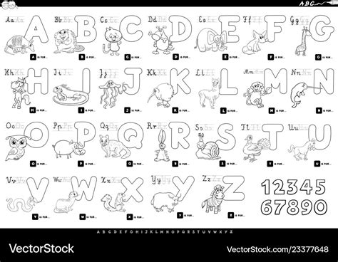 Cartoon alphabet with animals color book Vector Image