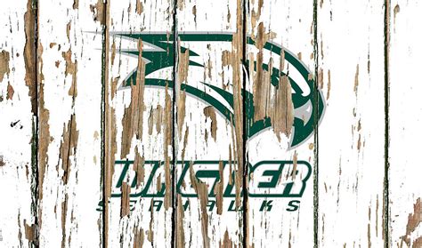 Wagner University Vintage College Logo Peeling Barn Wood Paint Mixed Media by Design Turnpike ...