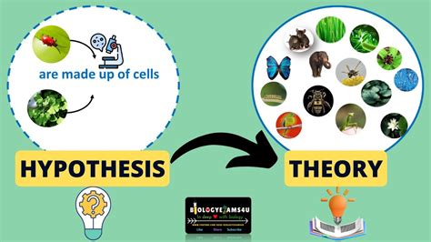 Difference between Hypothesis and Theory - YouTube