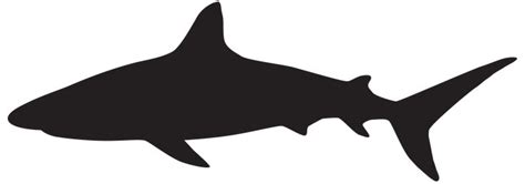 Shark Silhouette PNG Clip Art Image | Gallery Yopriceville - High ...