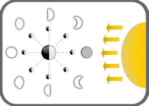 Diagram Of Moon Phases Clip Art at Clker.com - vector clip art online ...