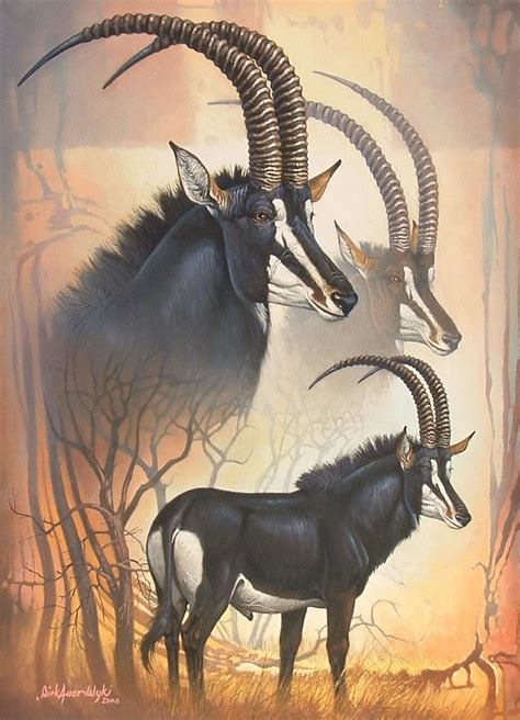 Sable Antelope - The Authentic D&D Wiki