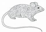 Mouse Coloring Pages For Kids Printable sketch template