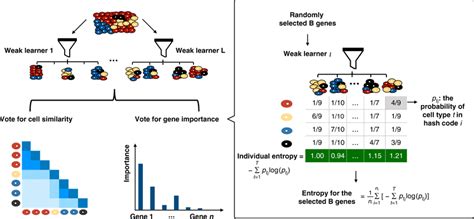 Overview of EDGE The algorithm starts by generating a number of weak... | Download Scientific ...