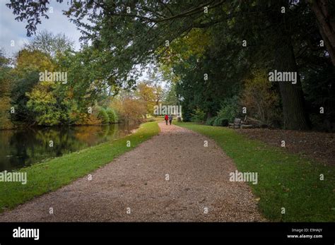 Autumn painshill park path trees hi-res stock photography and images ...