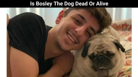 Is Bosley The Dog Dead Or Alive? Who Is Faze Rug? Know Truth Details ...