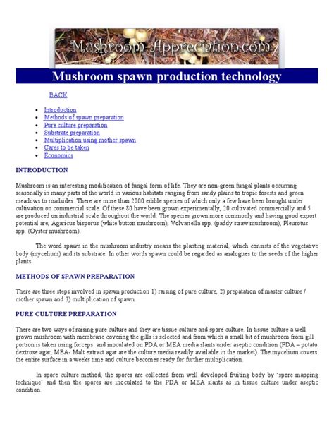 Mushroom Spawn Production Technology | PDF | Mushroom | Spawn (Biology)