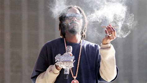 Puff Puff Pass: Snoop Dogg, Seth Rogen, more light up 4/20 - The Celeb Post