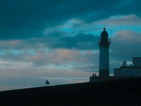 A Lighthouse on a Cape · Free Stock Photo