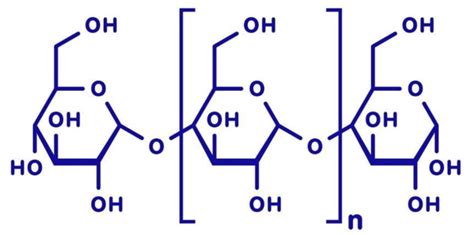 Structure of polysaccharides. | Download Scientific Diagram