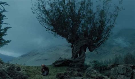 harry potter - Was the tree pictured in this scene the Whomping Willow? - Science Fiction ...