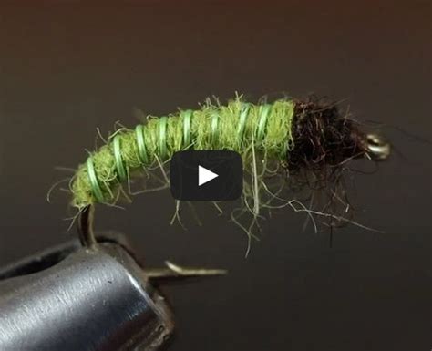 Green Caddis Larva or Nymph Pattern - Fly Fishing Lines