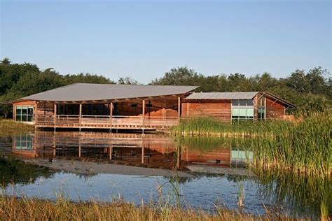 Explore the Wildlife Paradise at Estero Llano Grande State Park