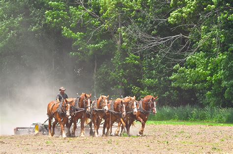 A Visit to Amish Country – Daviess County, Indiana