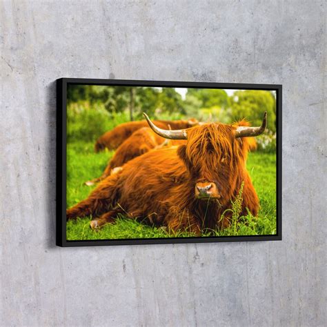 Highland Cow Canvas Scotland Highland Cow Framed Canvas Wall - Etsy