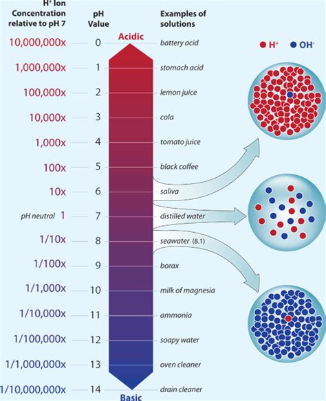 Understanding the Science of Ocean and Coastal Acidification | Ocean and Coastal Acidification ...